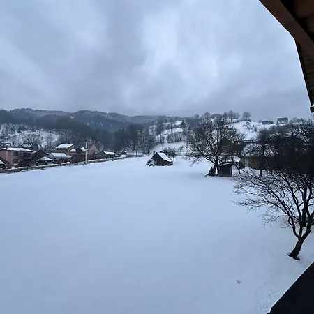 на бе́резі Kvasy