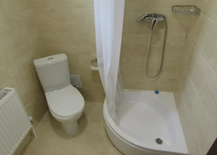 Otel на бе́резі *